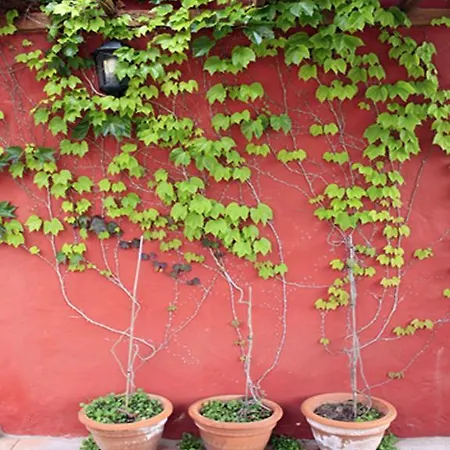 Casa Rural Con Piscina Privada El Roble Moya  Esterno foto