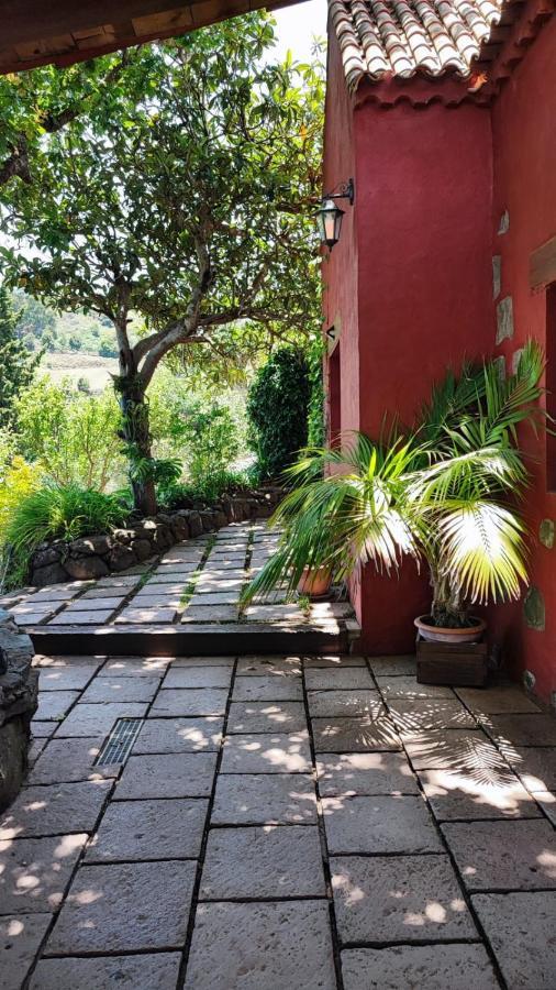 Con Piscina Privada El Roble Moya (Gran Canaria)
