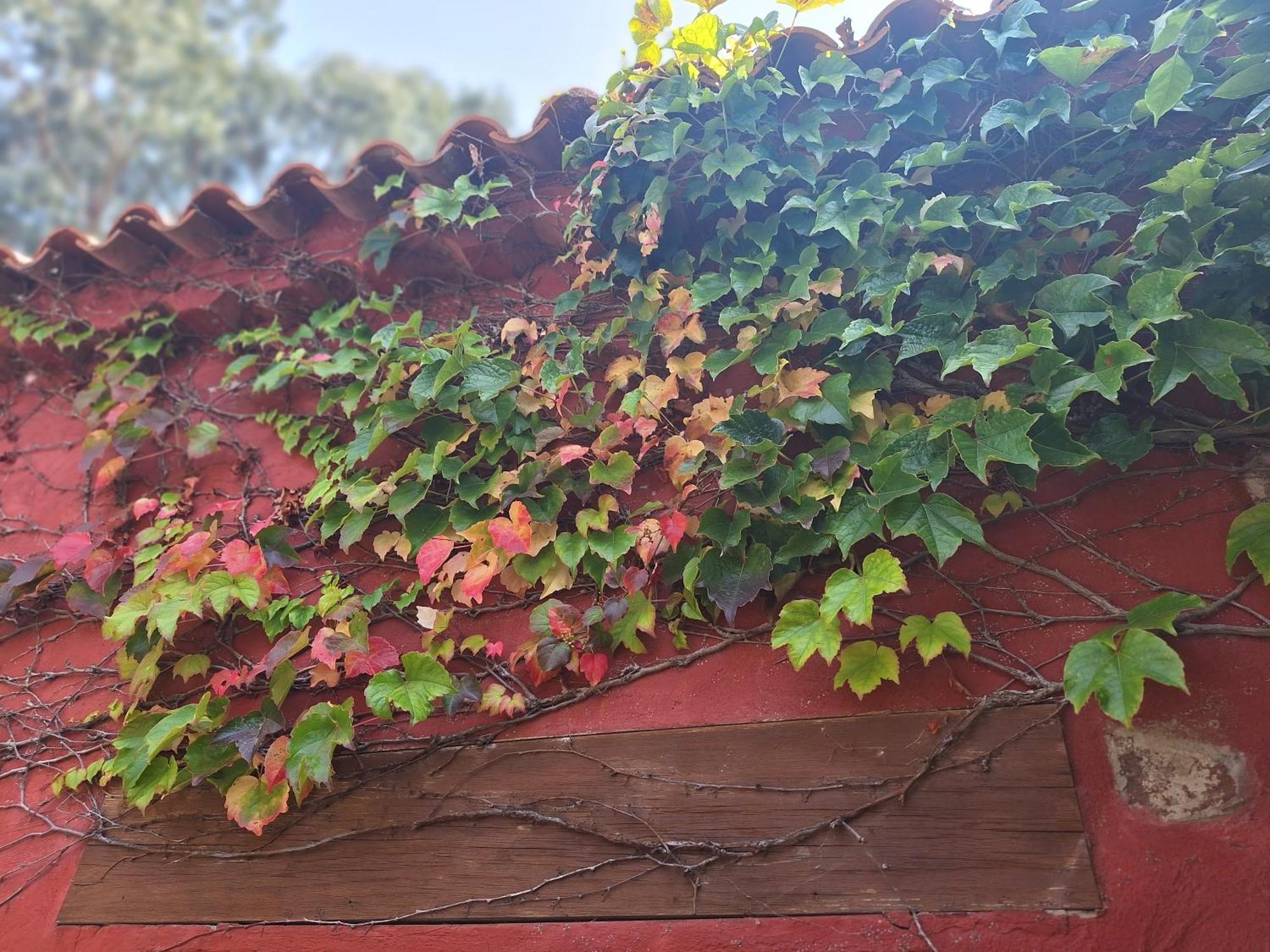 Con Piscina Privada El Roble *