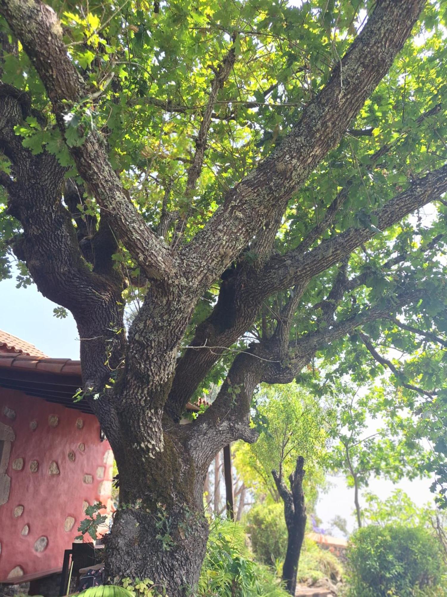 Gospodarstwo wiejskie Con Piscina Privada El Roble *