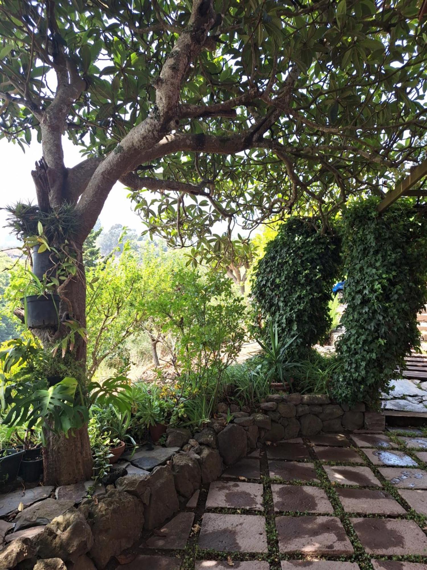 Con Piscina Privada El Roble Moya (Gran Canaria)