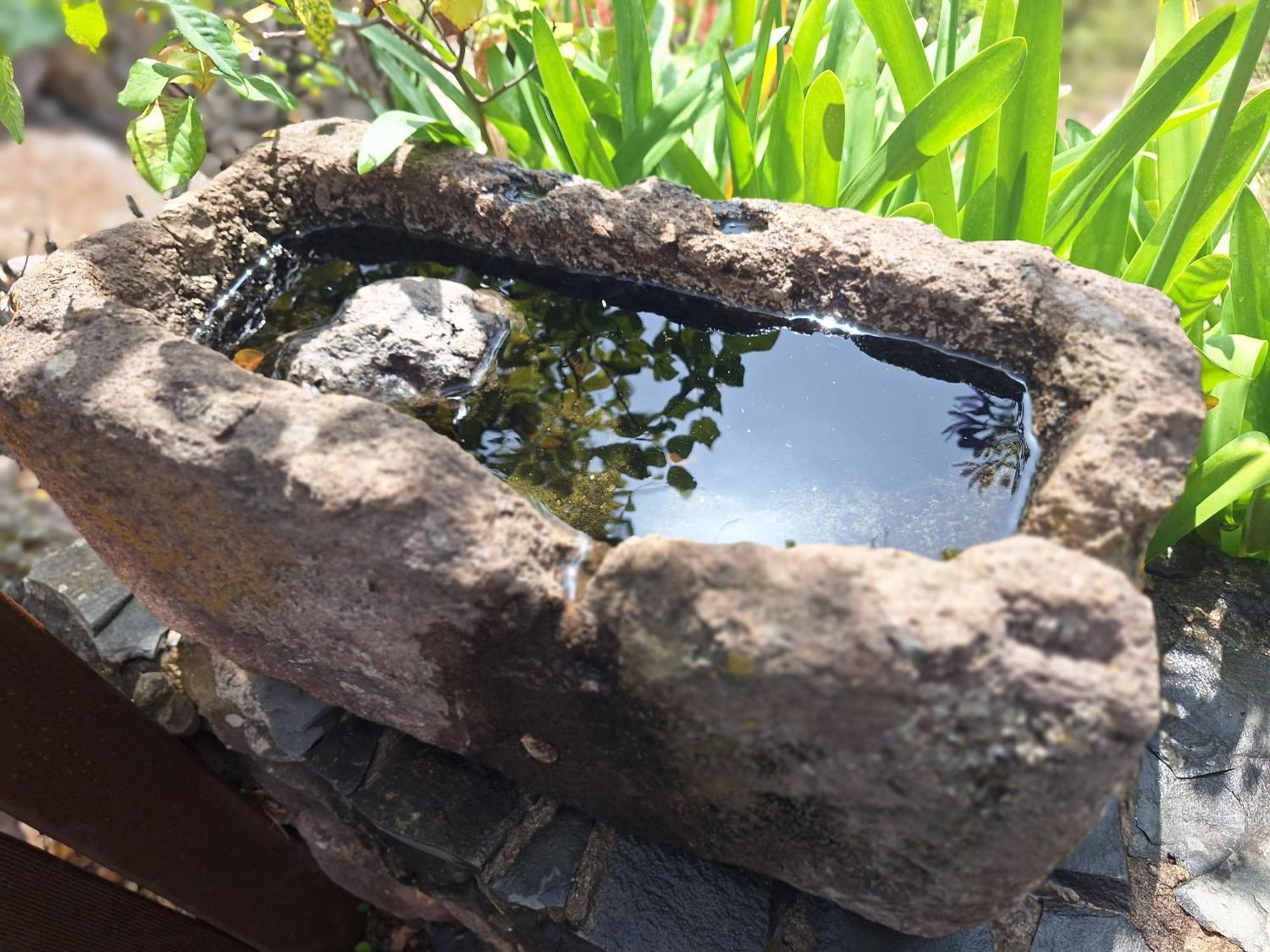 Con Piscina Privada El Roble Gospodarstwo wiejskie