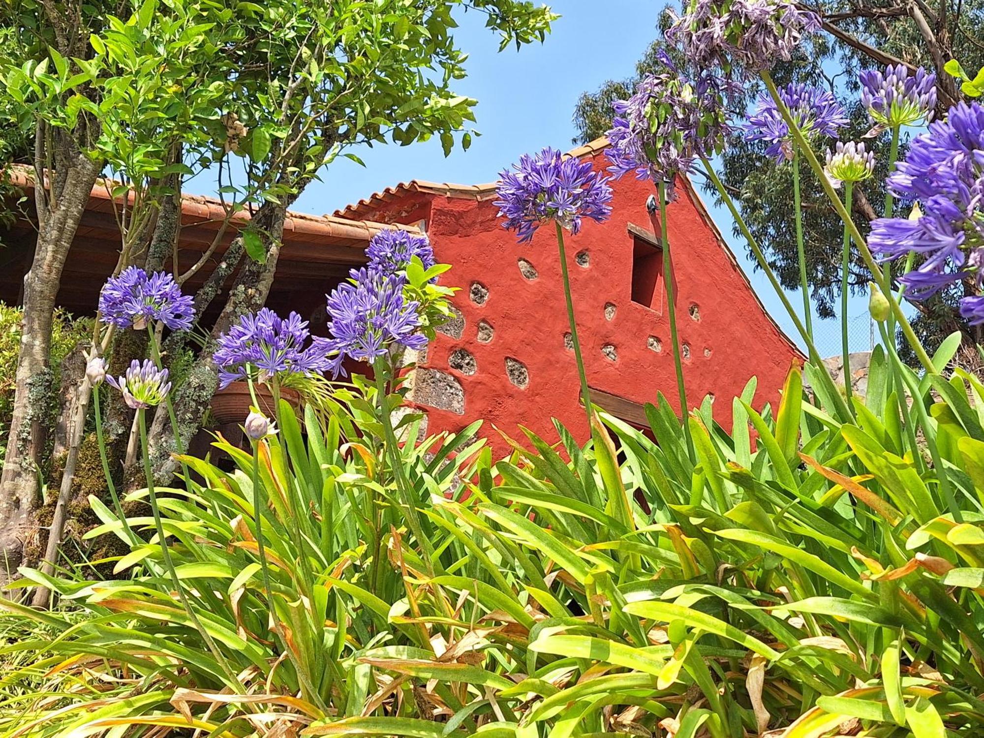 Con Piscina Privada El Roble Casa di campagna *