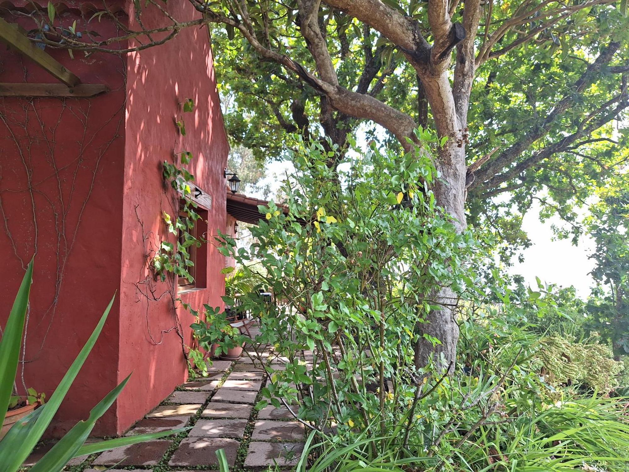 Con Piscina Privada El Roble * Moya (Gran Canaria)
