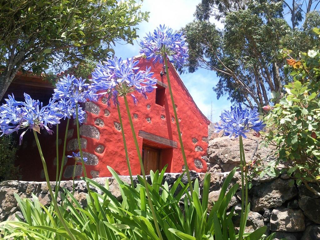 Con Piscina Privada El Roble Gospodarstwo wiejskie Moya (Gran Canaria)