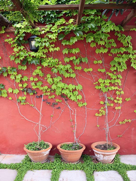 Casa di campagna Con Piscina Privada El Roble *